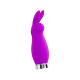 Crazzy Bunny